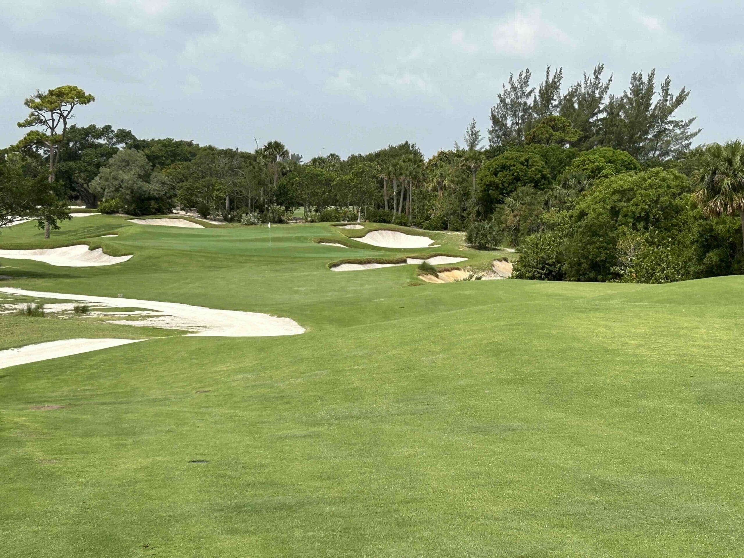 the park west palm 11th hole